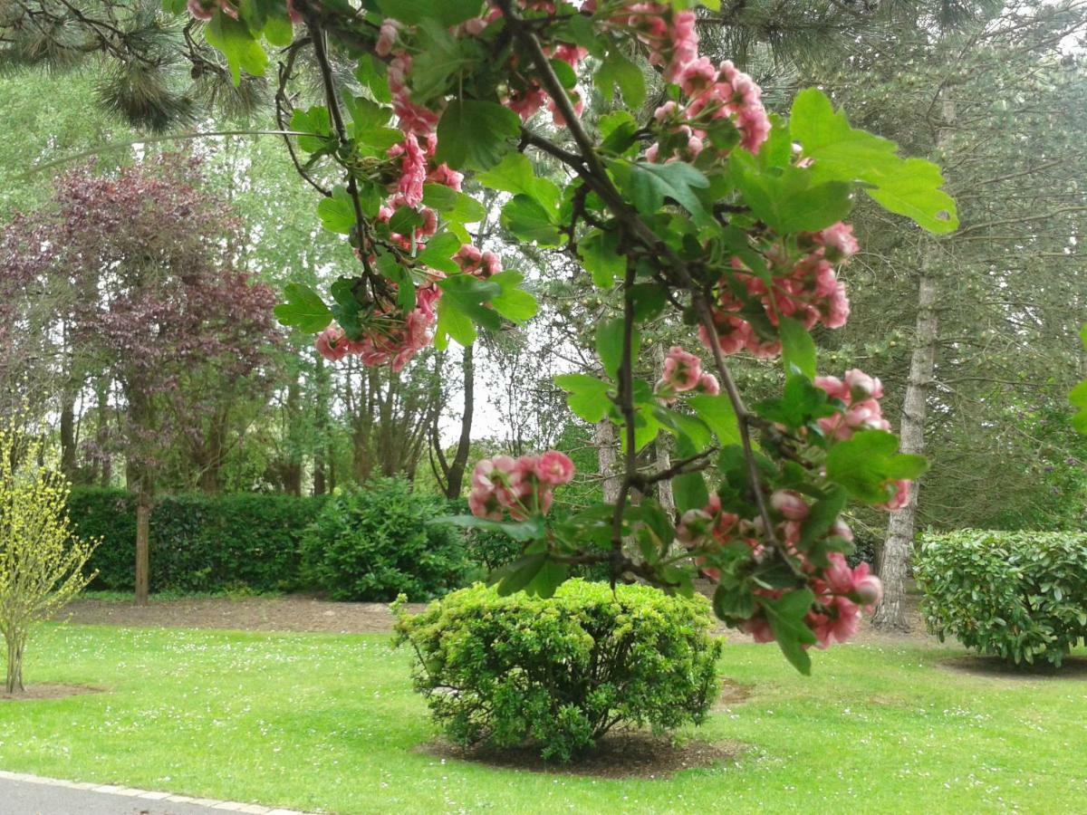 Chambre D'Hotes Les Hortensias Rang-du-Fliers Εξωτερικό φωτογραφία